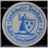landshutbrau (9).jpg